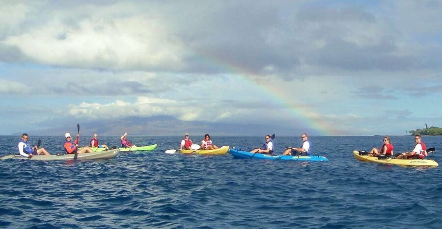 Kayak and Snorkel West Maui at Olowalu - Snorkeling at a turtle cleaning station