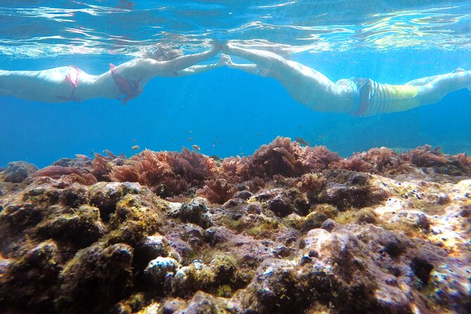 Kayak and Snorkeling Tour in Underwater Nature Reserve Garajau - Snorkeling in the reserve