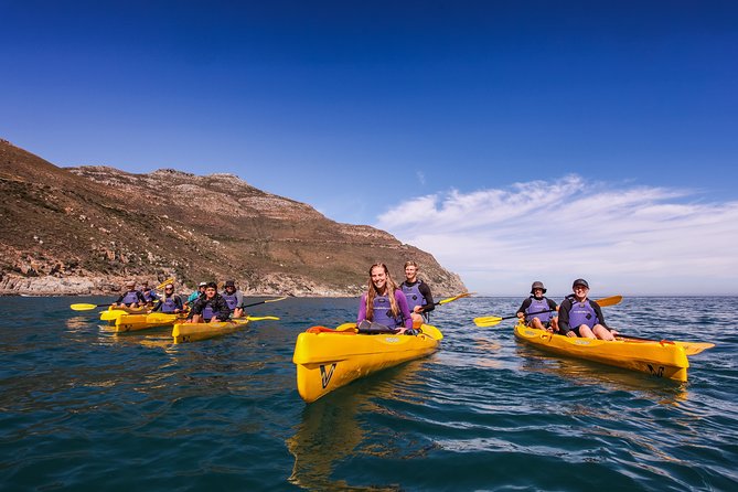 Kayak Chapman's Peak and Karbonkelberg in Hout Bay - Wildlife watching without guarantees