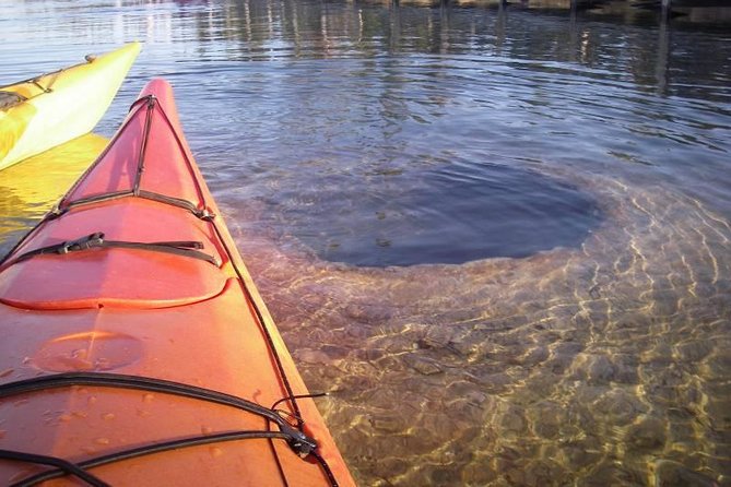 Kayak Day Paddle on Yellowstone Lake - Learning to Paddle Before the Launch