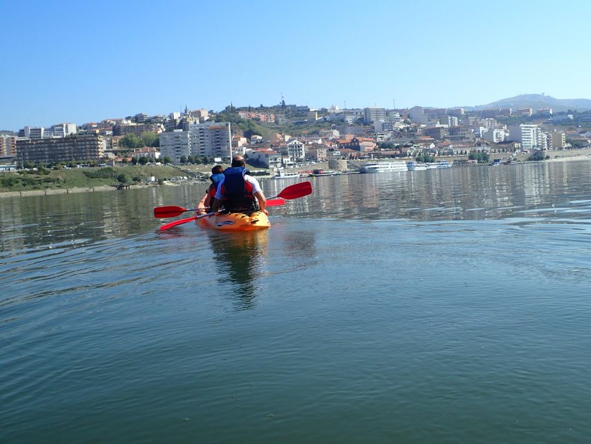 Kayak - Douro Valley - Why the calm Douro works for beginners