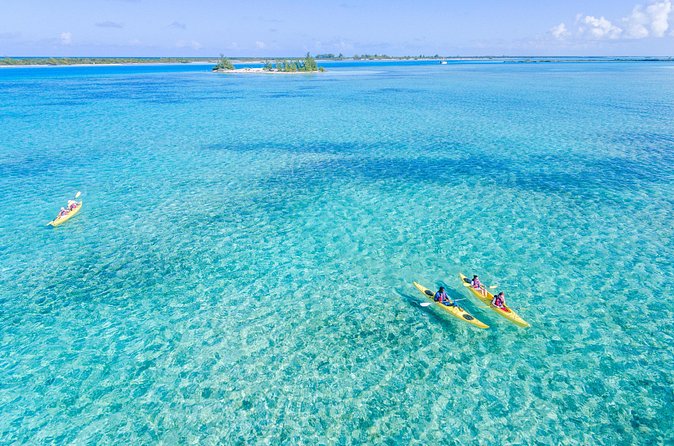 Kayak Eco Tour - Paddling, Walking, and Swimming