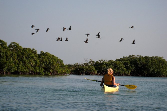 Kayak Eco Tour - How Weather Can Change the Day