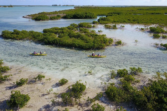 Kayak Eco Tour - Is the $296 Price Worth It?