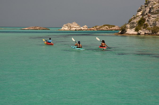 Kayak Eco Tour - Who Will Enjoy This Best?