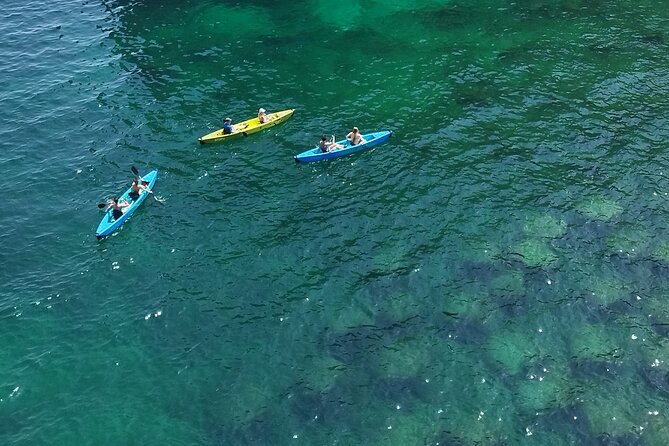 Kayak excursion in Polignano a Mare - The Free Photos Are a Useful Extra