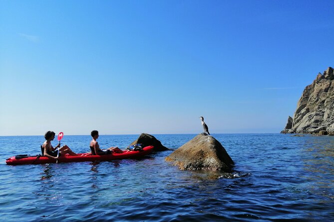 Kayak experience with Carnassa Tour in Cinque Terre + Snorkeling - Weather changes and cancellation concerns