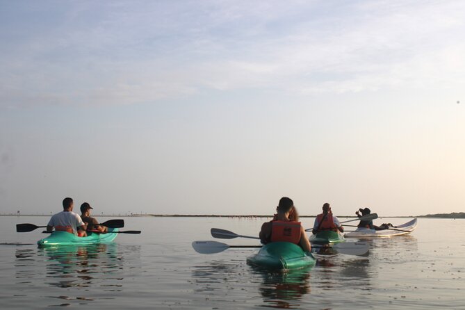 Kayak Mangroves Sunrise Experience - Why the Yum Balam Reserve is worth an early start