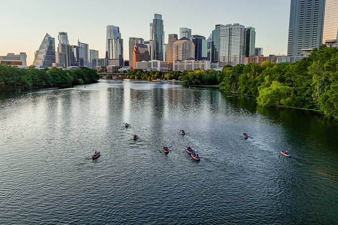 Kayak or Paddle Board Sunset Bat Tour - Key points at a glance