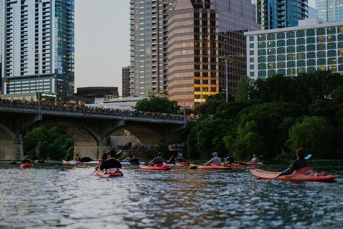 Kayak or Paddle Board Sunset Bat Tour - Spending about 90 minutes at the bat-viewing spot