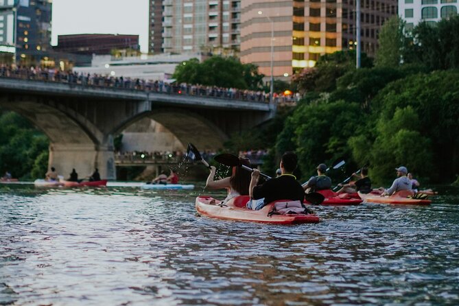 Kayak or Paddle Board Sunset Bat Tour - Value at the listed price