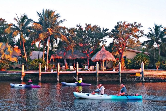 Kayak Rental: Explore Mangroves and Self-Navigated River Eco Paddle - Key Points Before You Paddle