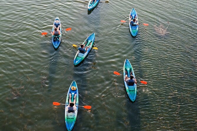 Kayak Rentals on Lady Bird Lake - Staff help, equipment, and independence