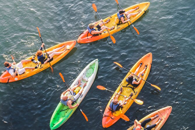 Kayak Rentals on Lady Bird Lake - Downtown views from a quieter angle
