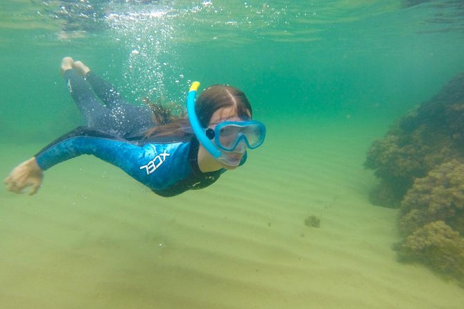 Kayak Route + Snorkel in Cantabria - Why Trengandín Beach works for beginners