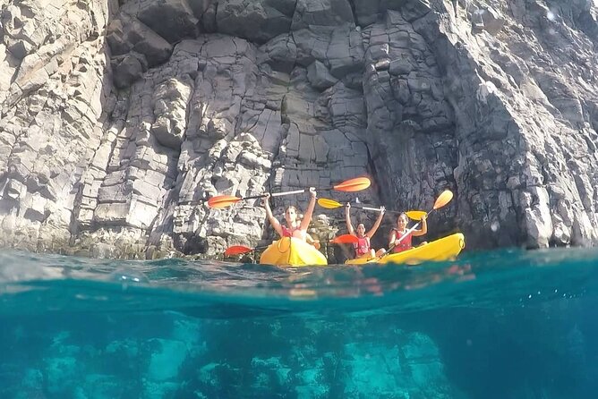 Kayak Safari with Dolphin and Turtle Watching in Guaza - Timing, weather, and practical limits