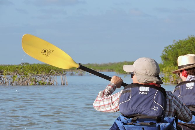 Kayak Sian Ka’an Biosphere Reserve Sunset Tour - What the $150 price includes