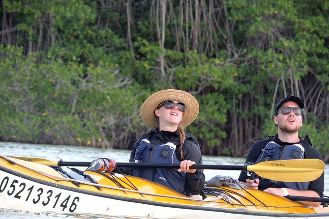 Kayak Sian Ka’an Biosphere Reserve Sunset Tour - Should you book the Sian Ka’an sunset paddle?