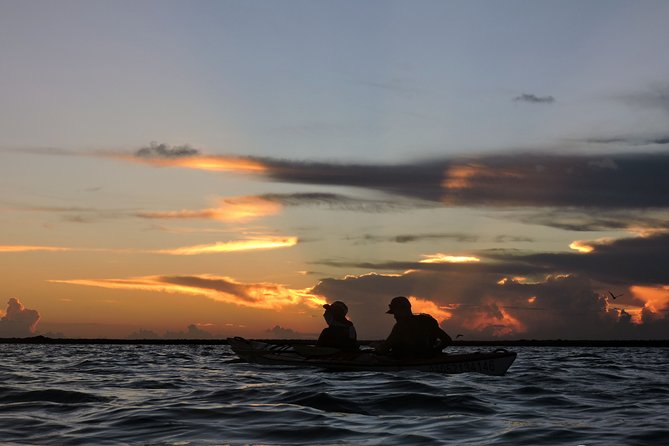 Kayak Sian Ka’an Biosphere Reserve Sunset Tour - Bird watching with guides who respect the reserve