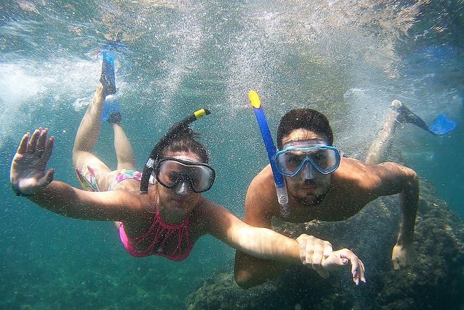 Kayak & Snorkel Tour in Cerro Gordo Natural Park, La Herradura - Snorkeling conditions can change the experience
