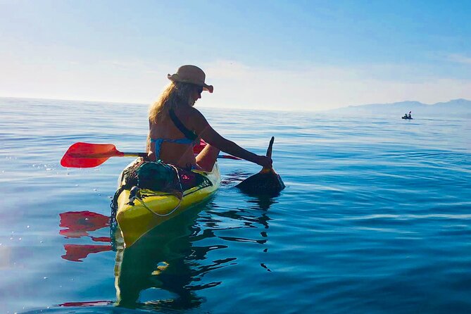Kayak & Snorkel Tour in Cerro Gordo Natural Park, La Herradura - Guides are the strongest part of the outing