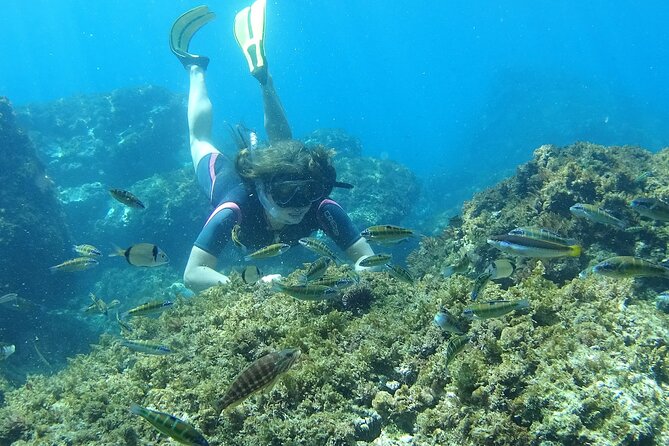 Kayak & Snorkel Tour in Cerro Gordo Natural Park, La Herradura - Who gets the best value for $34.76