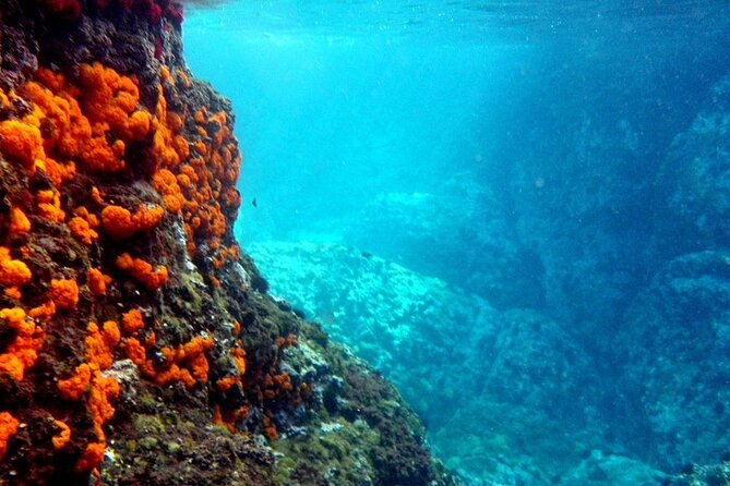 Kayak & Snorkel Tour in Cerro Gordo Natural Park, La Herradura - Starting on La Herradura beach