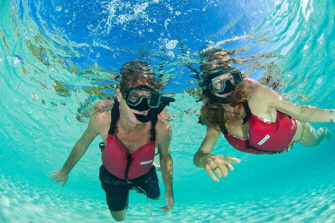 Kayak & Snorkel with Sea Turtles, National Park, St. John - Getting to Honeymoon Beach and getting ready