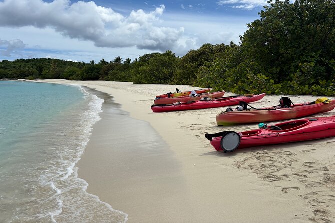 Kayak & Snorkel with Sea Turtles, National Park, St. John - What the $119 price really covers