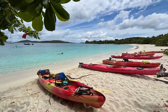 Kayak & Snorkel with Sea Turtles, National Park, St. John - Who should book this outing