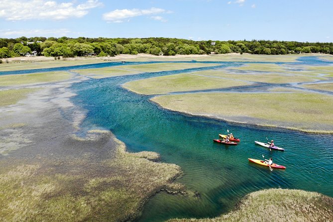 Kayak The Creek Nature Tour - Key points to know before you paddle