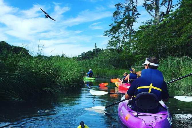 Kayak The Creek Nature Tour - A quiet start at Scorton Creek