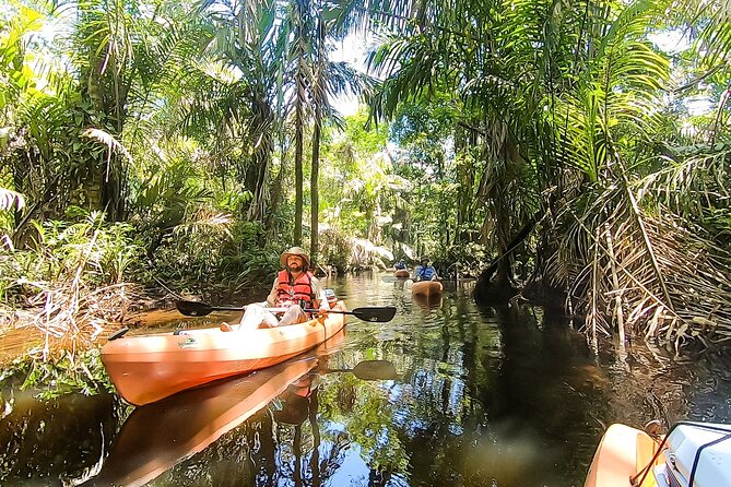 Kayak Tour - The guides can shape the whole experience