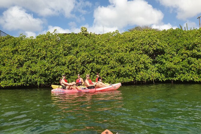 Kayak Tour at Mangel Halto and Spanish Lagoon - What You Get for $95 at Mangel Halto