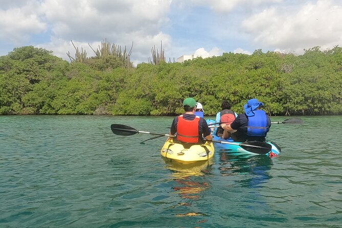 Kayak Tour at Mangel Halto and Spanish Lagoon - Paddling Along the Mangel Halto Coast