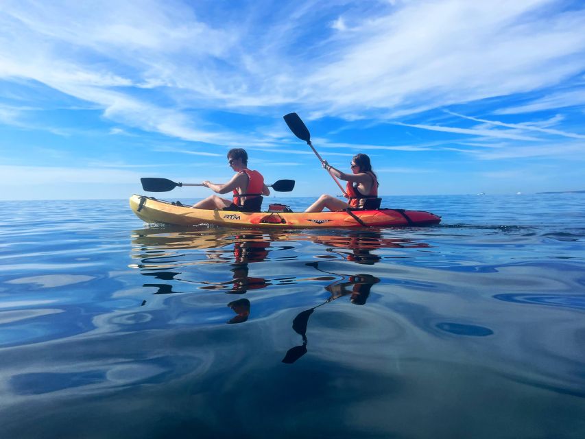 Kayak Tour Bay of Palma - Key points to know before booking