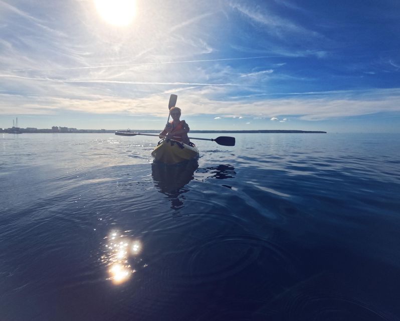 Kayak Tour Bay of Palma - The swim and snorkeling stop