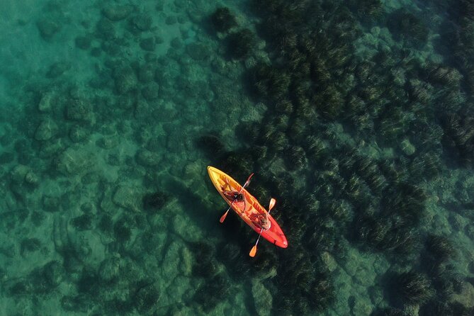 Kayak Tour: From Cala Manbrù to Torre Salsa Reserve - Key points to know before paddling out