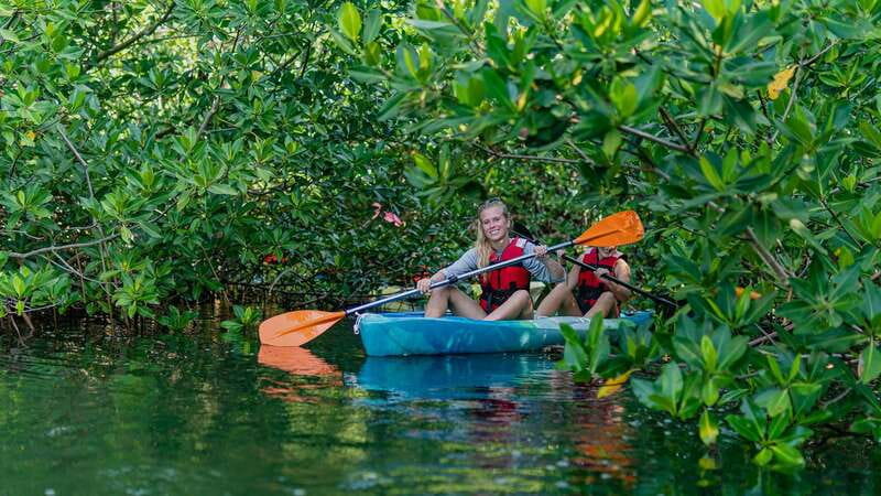 Kayak Tour in Cancun with Photos included - Why Nichupté Lagoon is worth your time