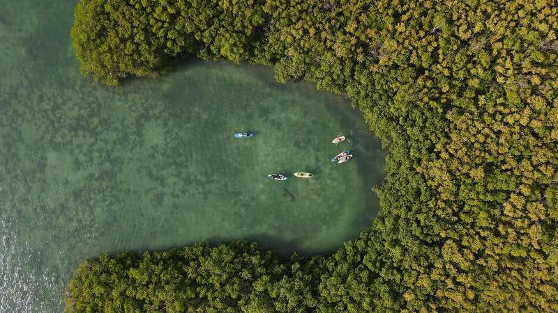 Kayak Tour in Cancun with Photos included - The first 15 minutes: safety before scenery