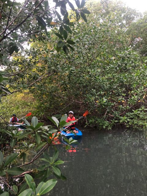 Kayak Tour in Cancun with Photos included - What $45 gets you