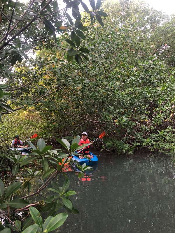Kayak Tour in Cancun with Photos included - The guides make the difference