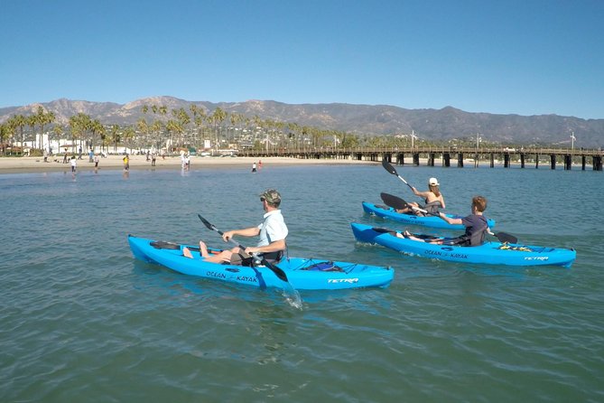 Kayak Tour of Santa Barbara with Experienced Guide - What this Santa Barbara kayak tour is really like
