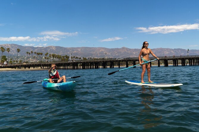 Kayak Tour of Santa Barbara with Experienced Guide - Marine life to watch for