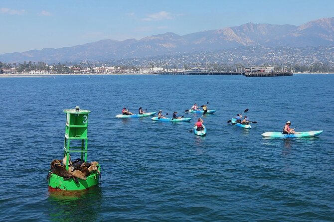 Kayak Tour of Santa Barbara with Experienced Guide - Why a private guide improves the experience
