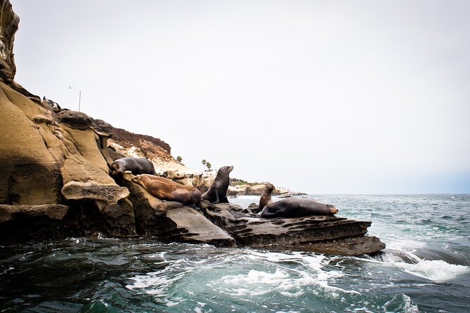 Kayak Tour of the 7 Caves - The biggest challenge: launching through the surf