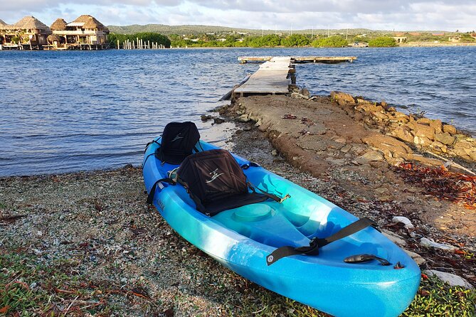 Kayak Tour to Seaglass Island - Who will enjoy this Aruba outing?