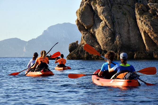 Kayak tour with aperitif and dolphins - Snorkeling Among Fish and Starfish