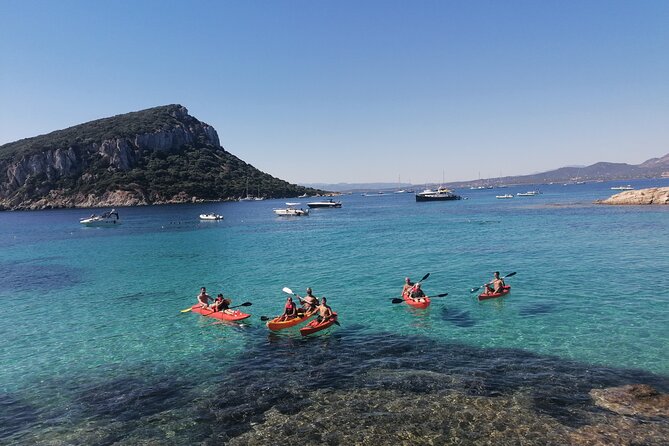 Kayak tour with aperitif and dolphins - How Small Is the Group?