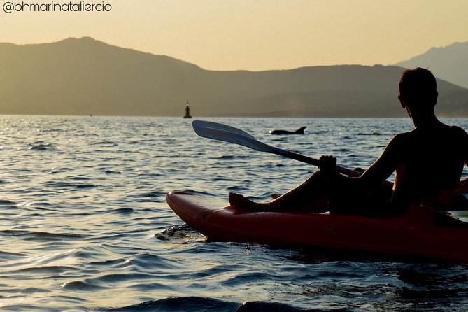 Kayak tour with aperitif and dolphins - Is $54.42 Good Value?